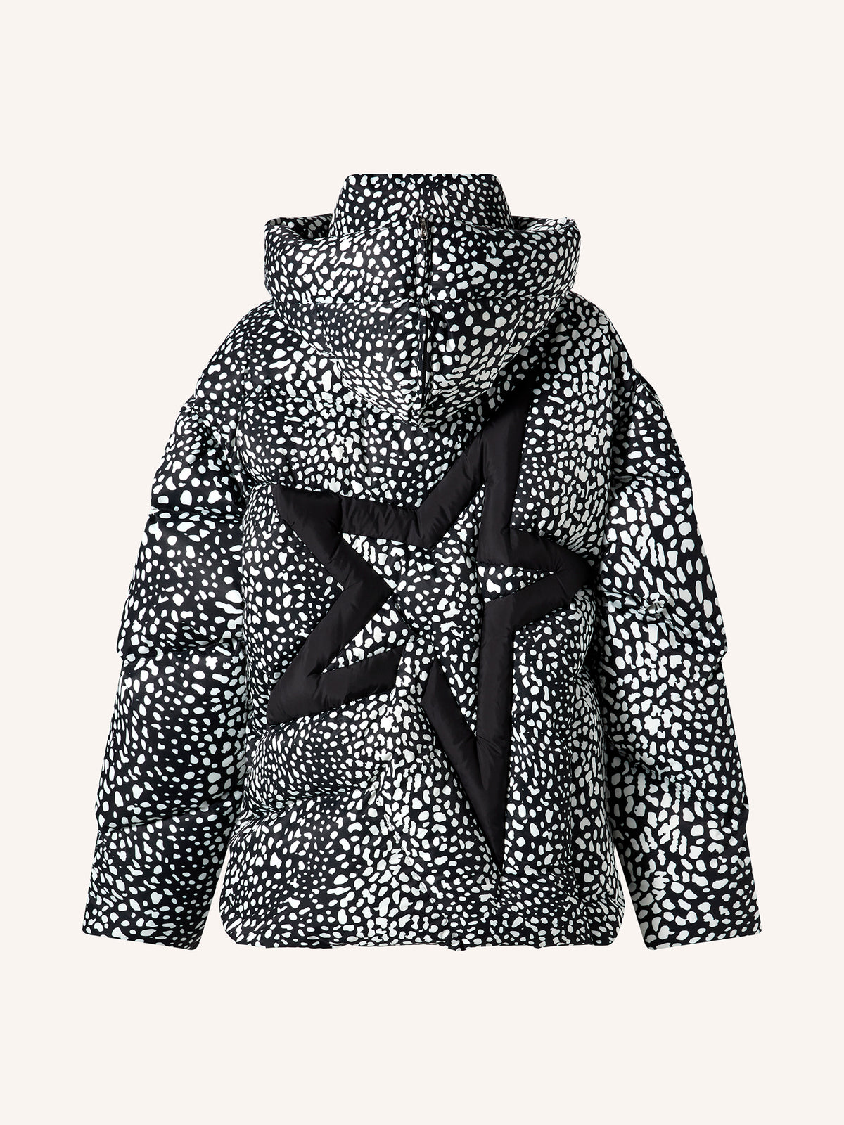 SNOW LEOPARD