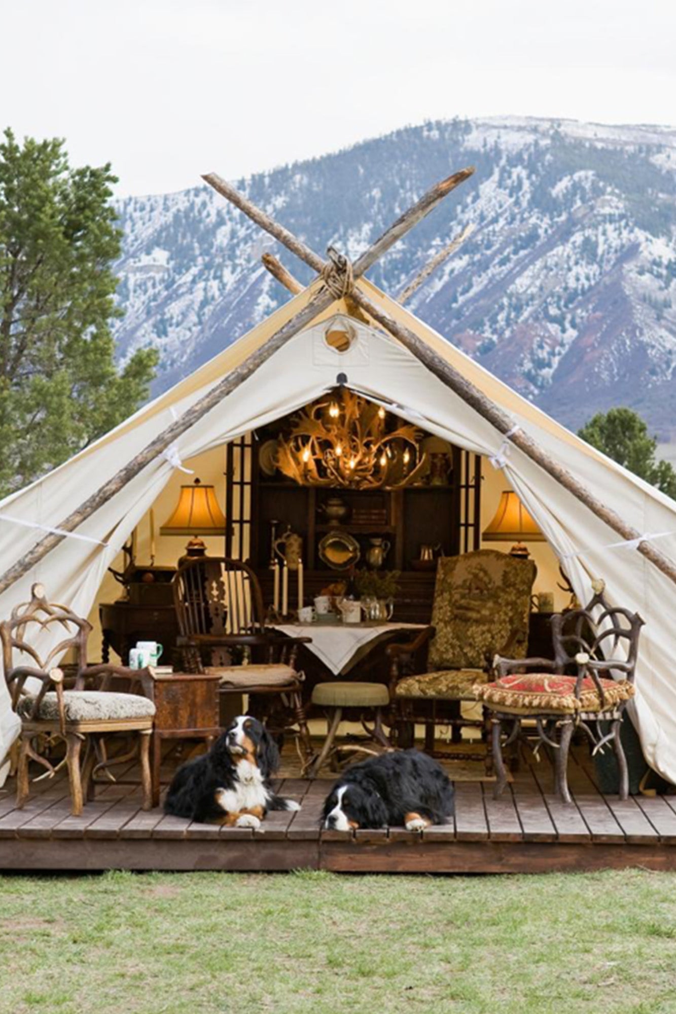 Luxury tent with indoor furniture and decor, Bernese Mountain Dogs lying on the ground, mountains in the background.