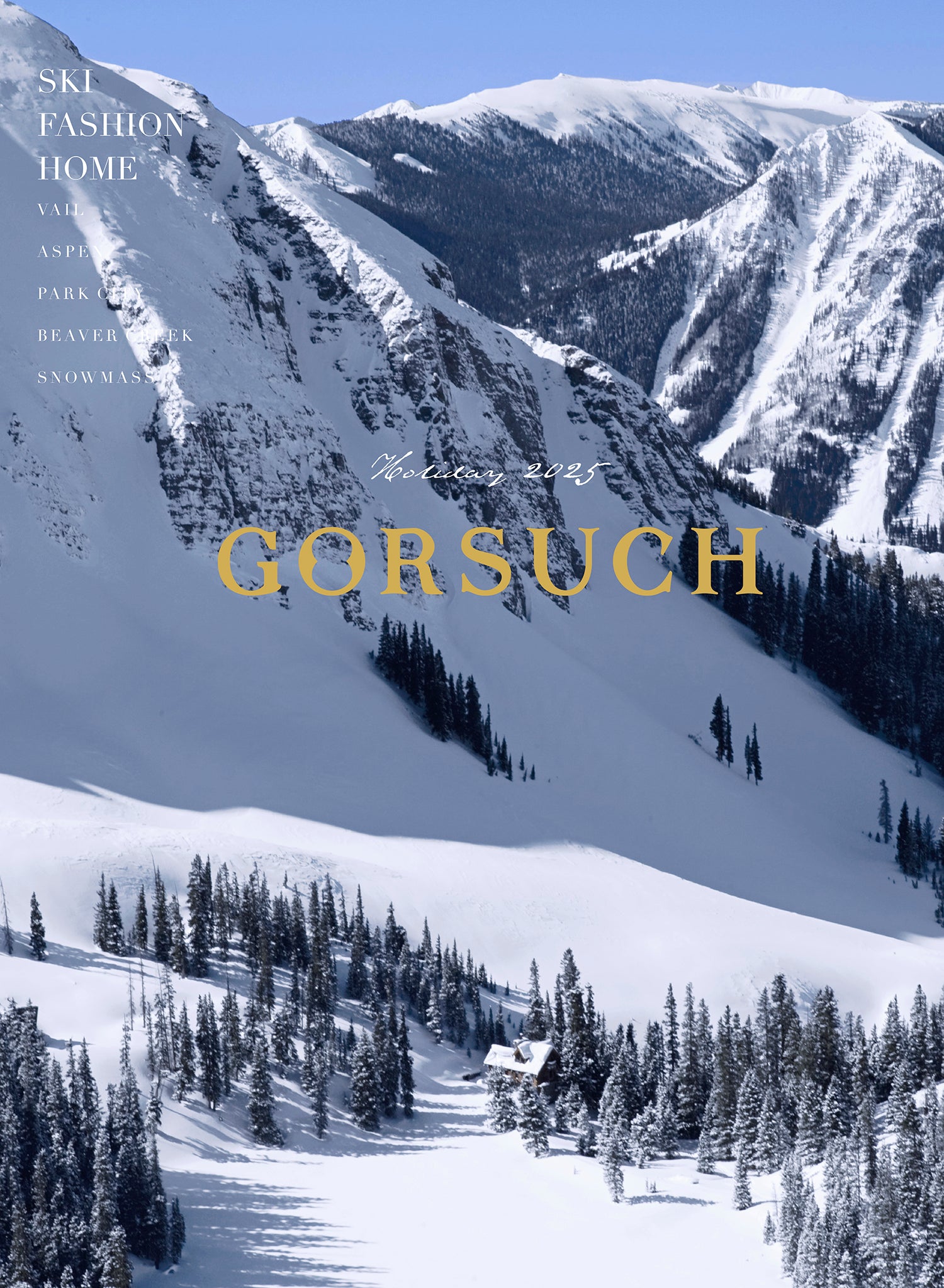 Winter mountain landscape with snow-covered trees and mountains, featuring the brand 'Gorsuch'.