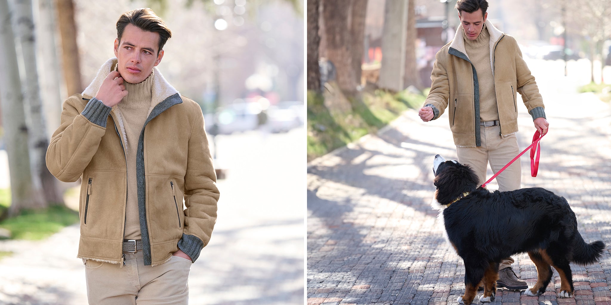 Man in a camel colored Alvin Shearling Bomber Jacket walking a Bernese Mountain Dog on a leash on the streets of Aspen in fall.