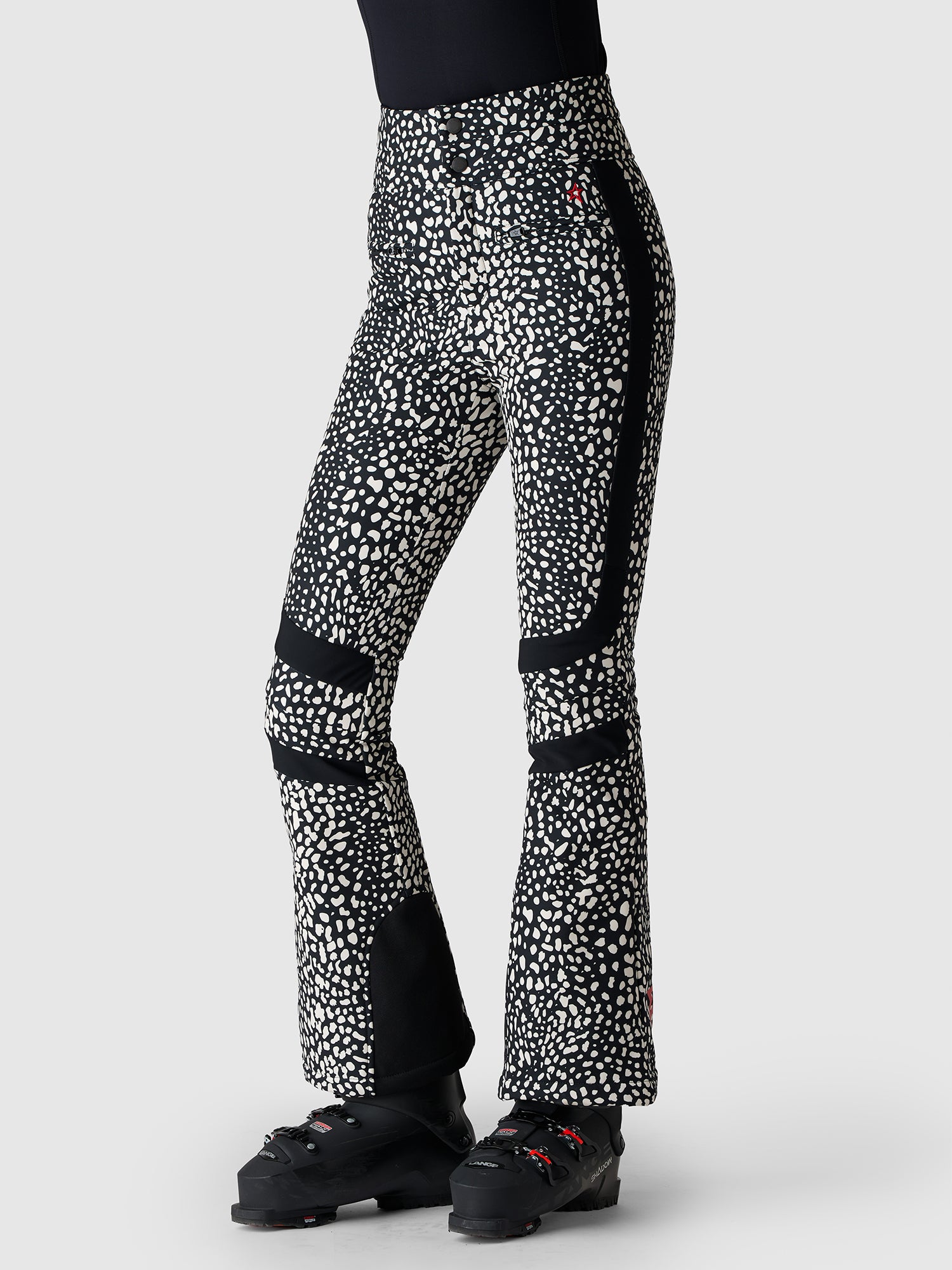 SNOW LEOPARD