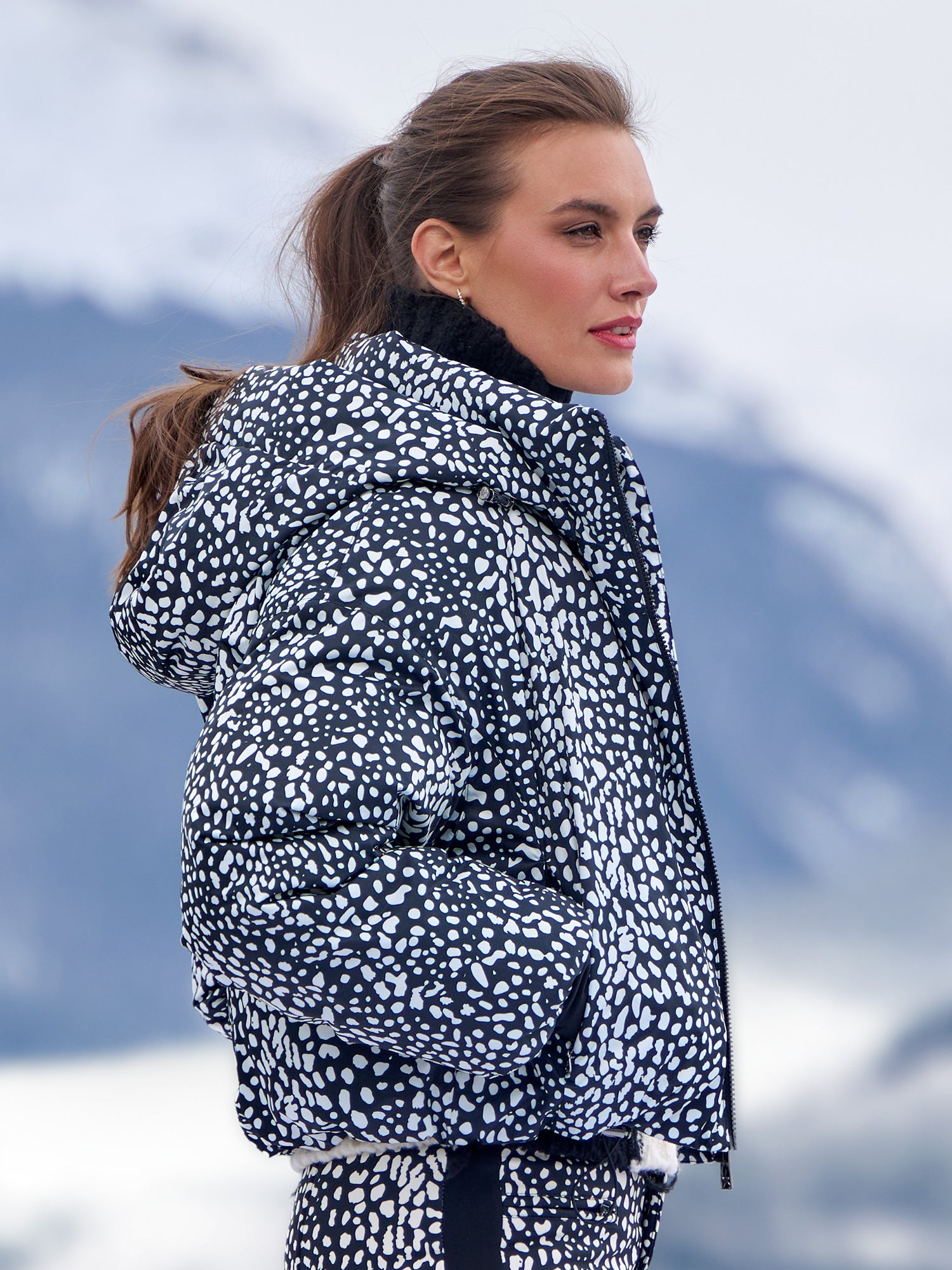 SNOW LEOPARD