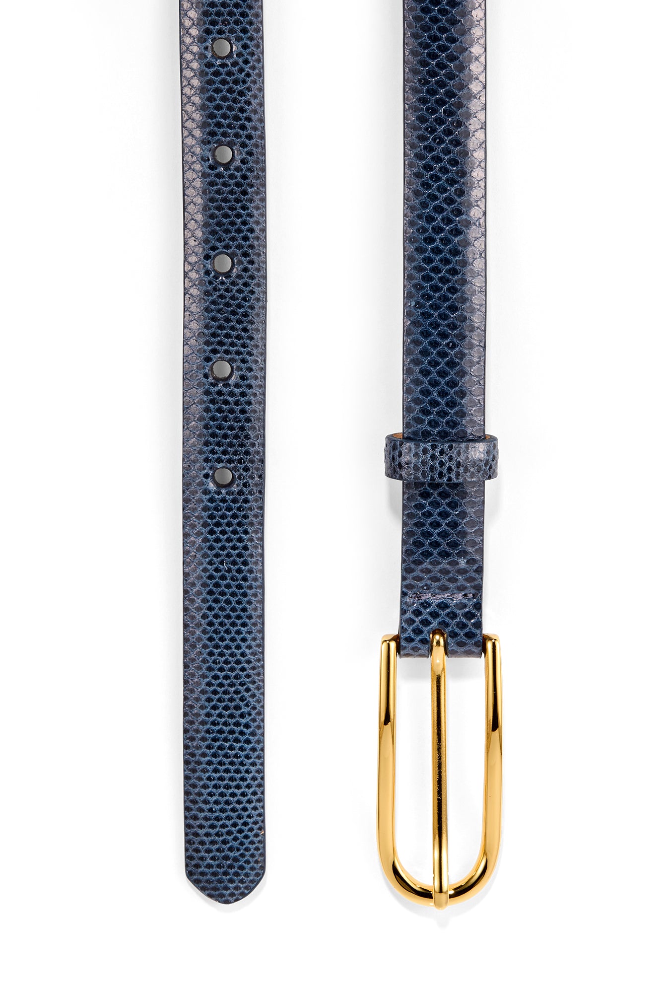 NAVY/GOLD