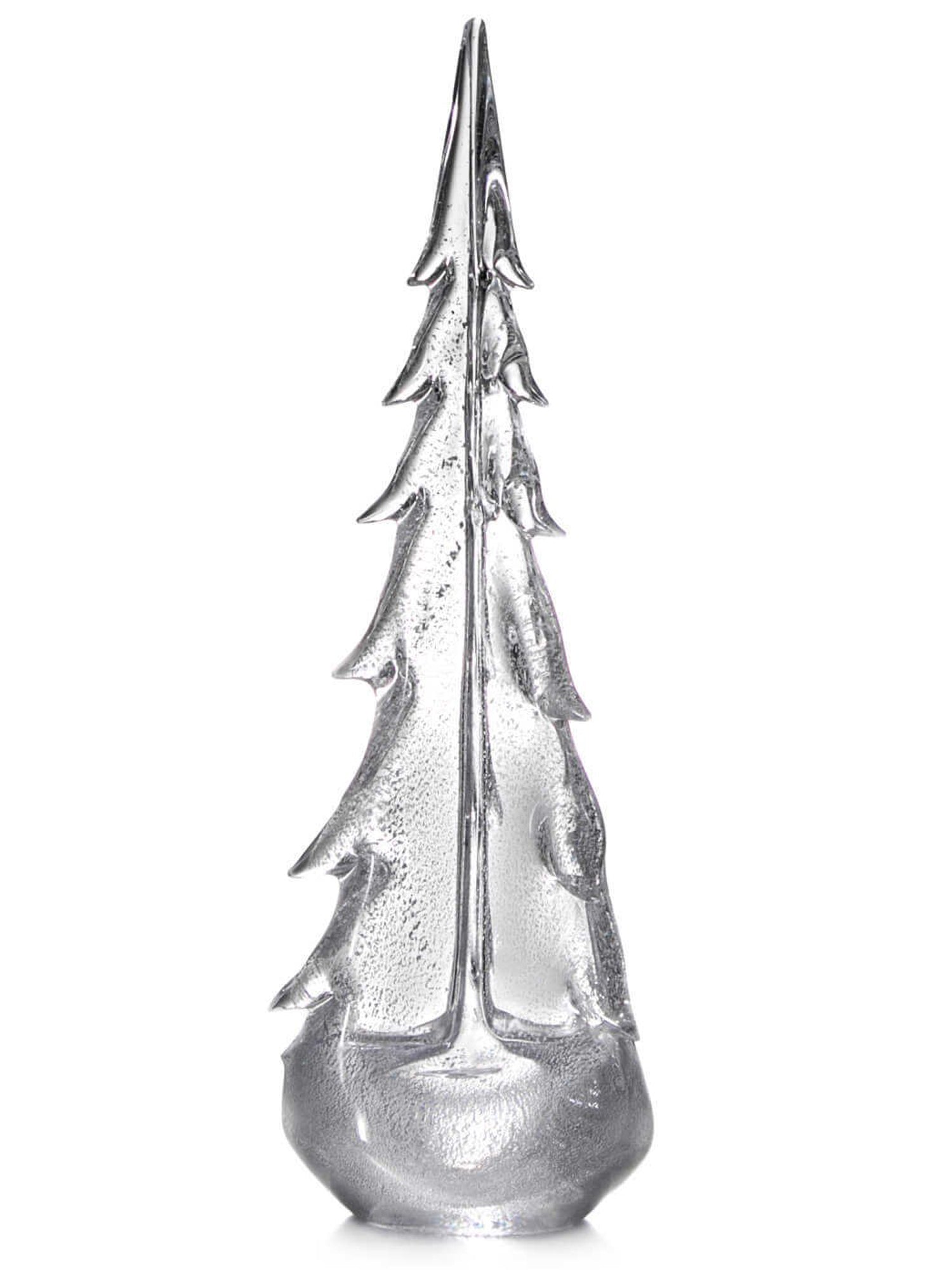 Silver Leaf Evergreen 18