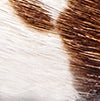 COW PRINT