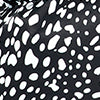 SNOW LEOPARD