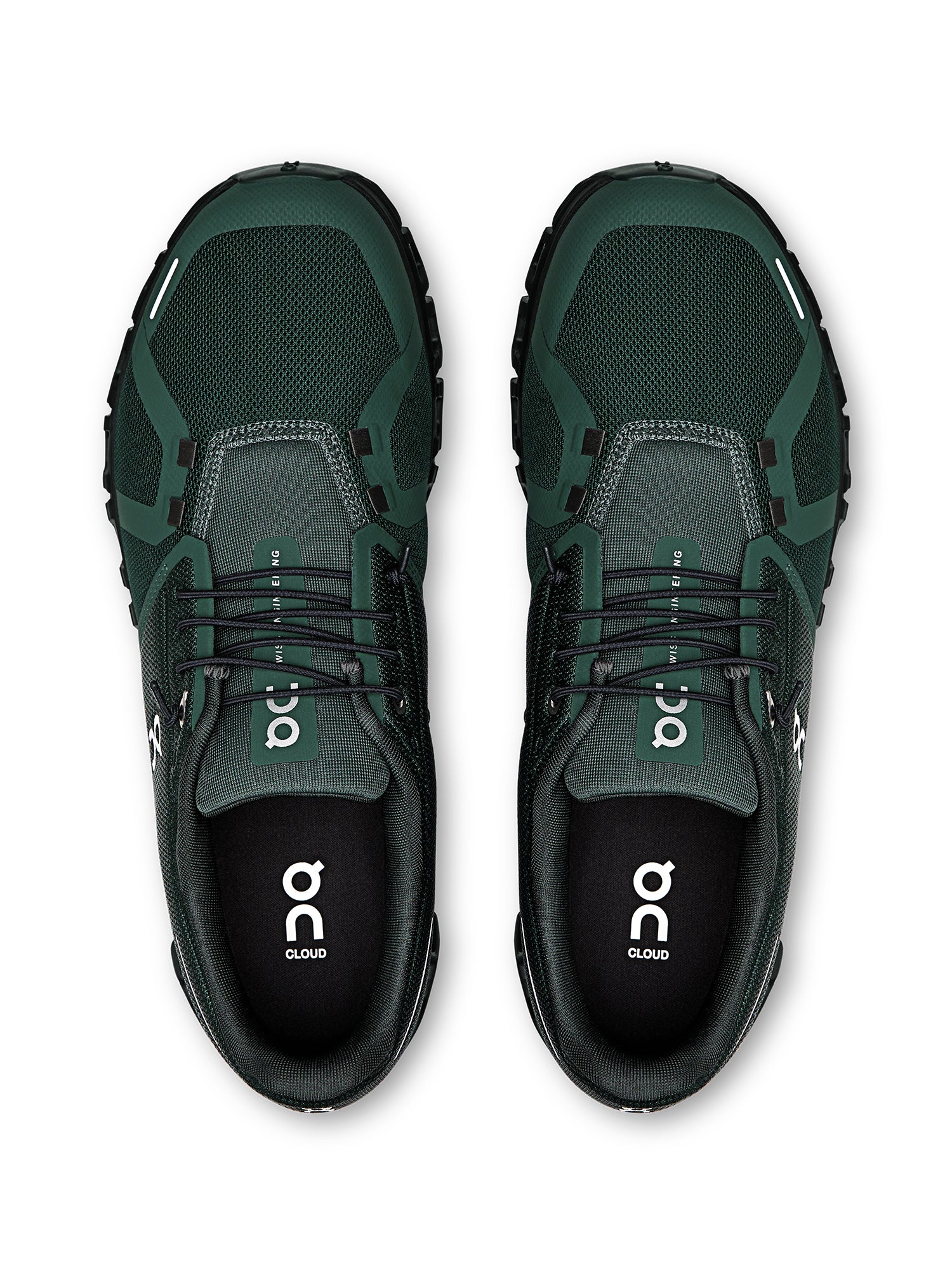 EVERGREEN/BLACK