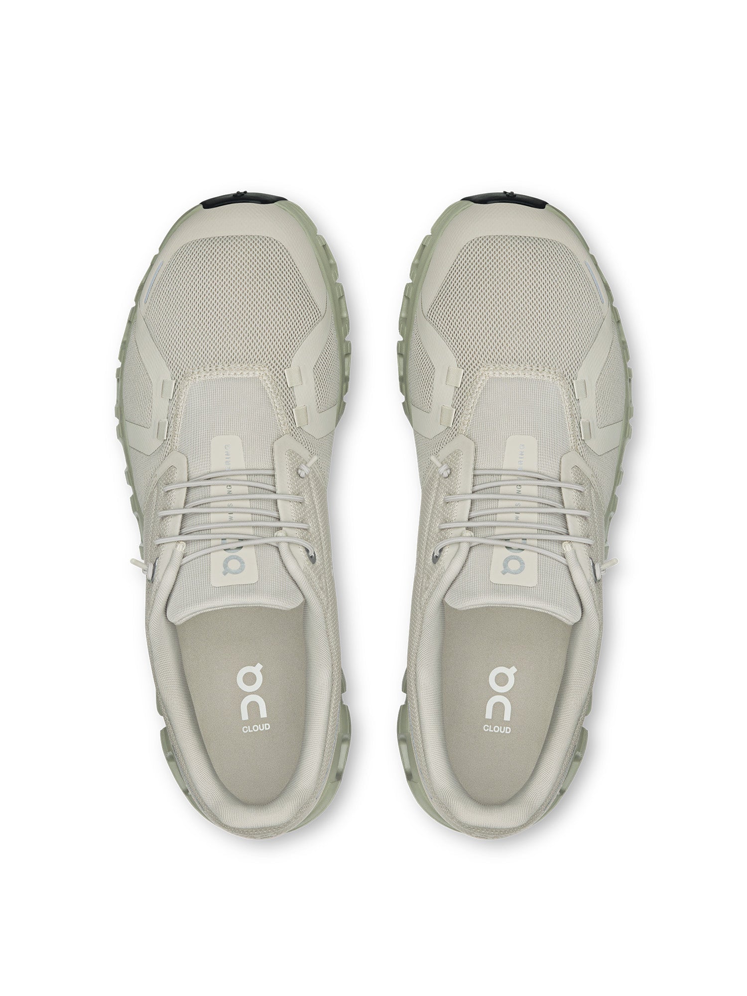 BRUME/OLIVE