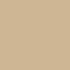 CHAMOIS