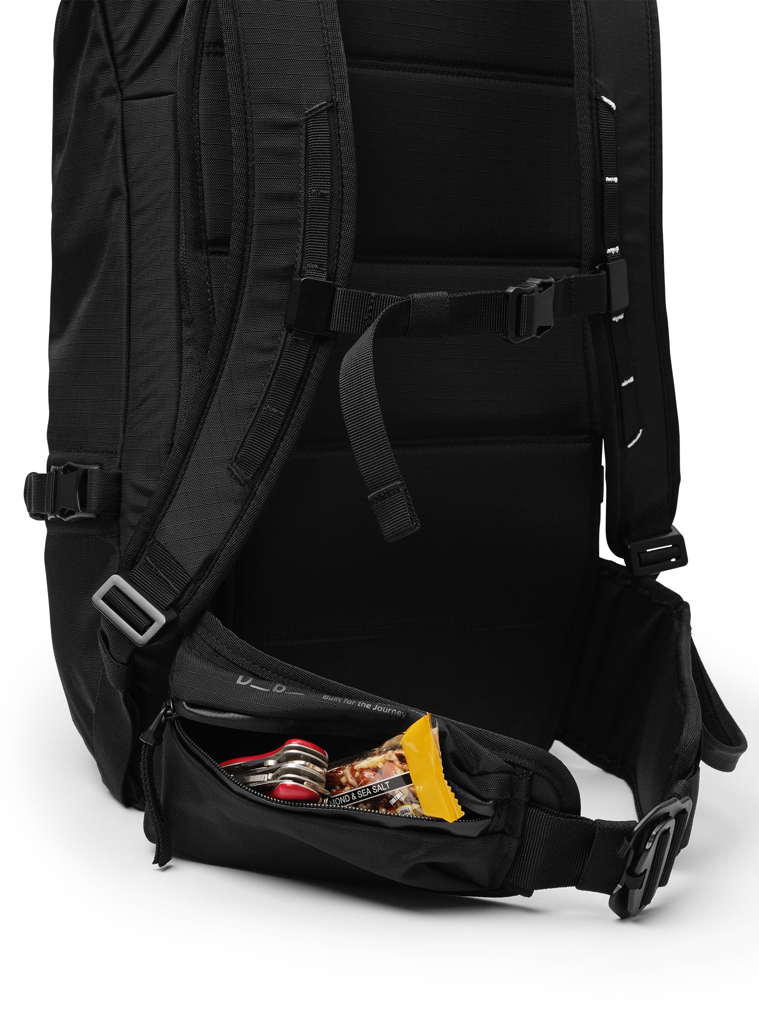 The Snow Pro Backpack 32L – Gorsuch