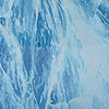 TIMON BLUE
