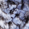BLUE CHINCHILLA