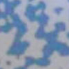 CLOUD 9/WHITE