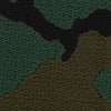 CAMO/ARGON