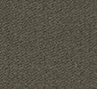 FOREST/SUN BLACK