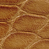 MATTE TAN