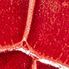 IVORY/RED