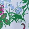 GREEN/PINK