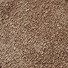 DARK BARK