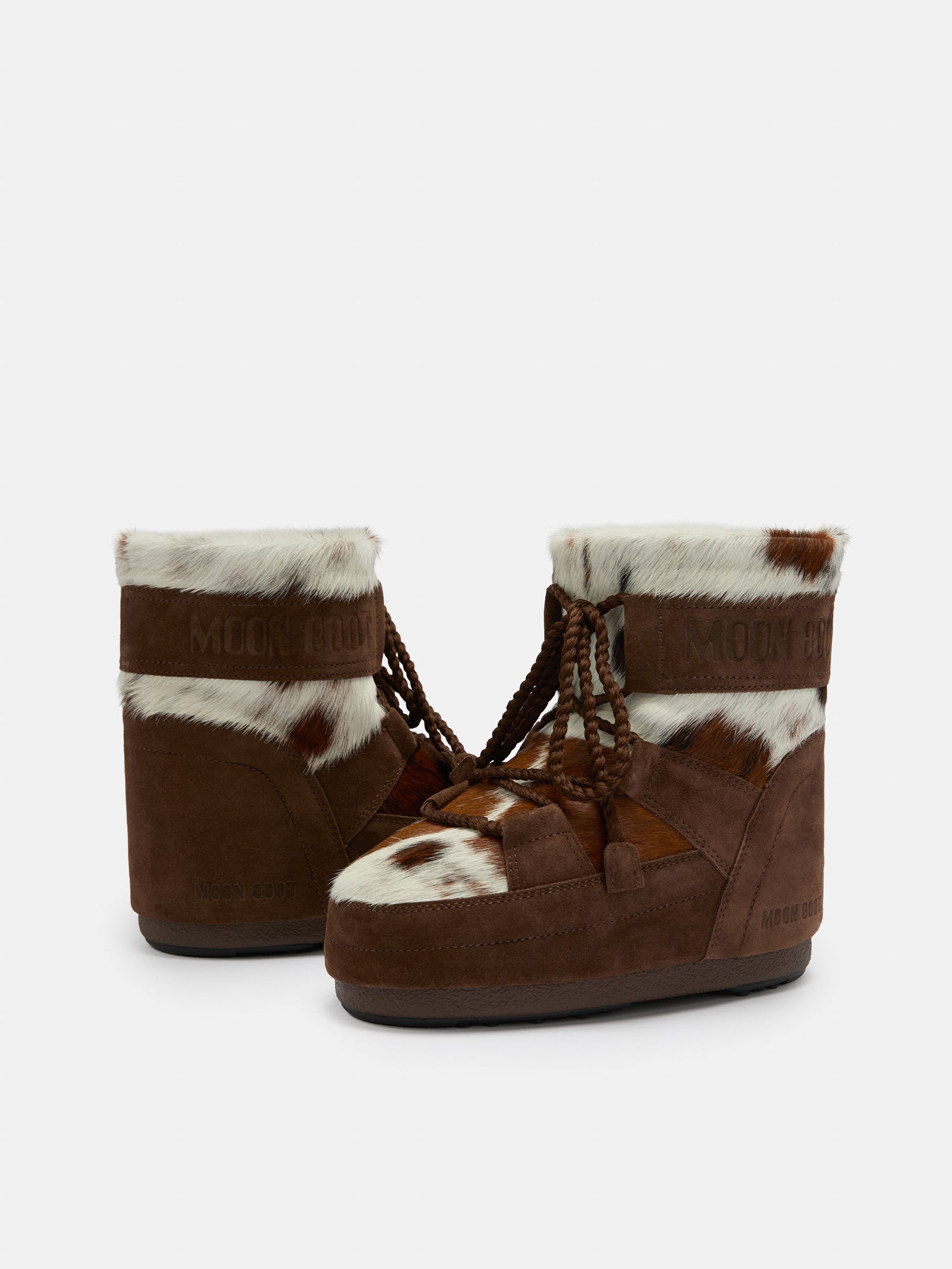 COCOA/WHITE