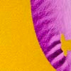 GOLD/PURPLE