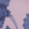 PINK/BLUE