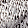 PEWTER