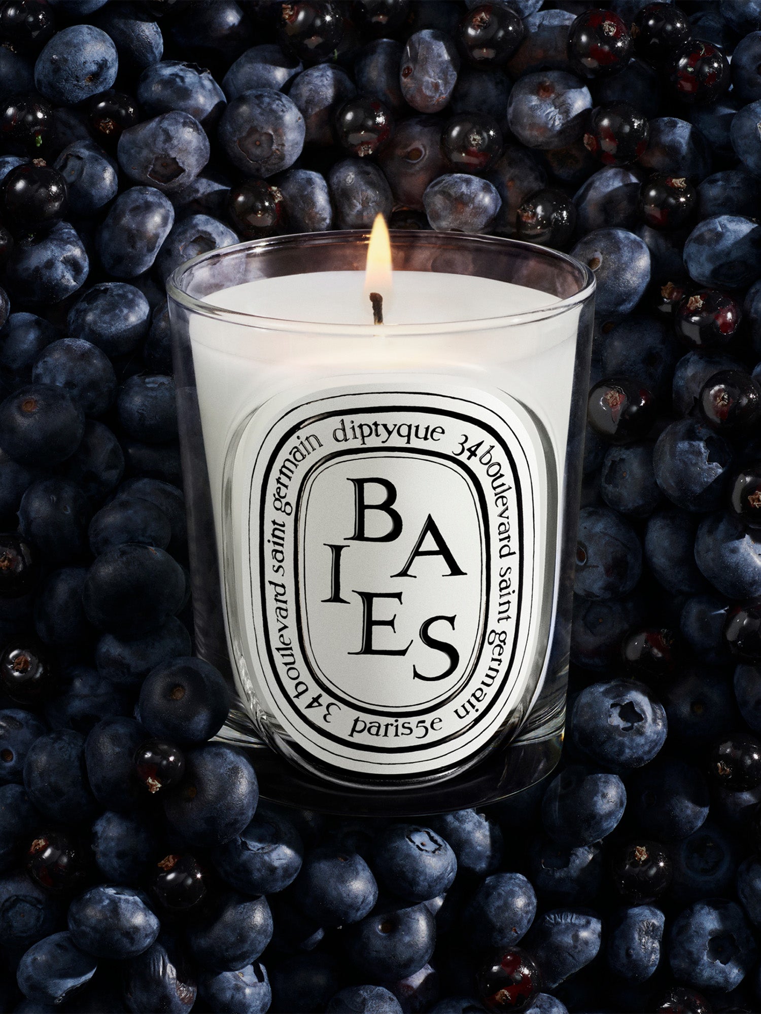 Baies Candle – Gorsuch