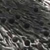 PEWTER