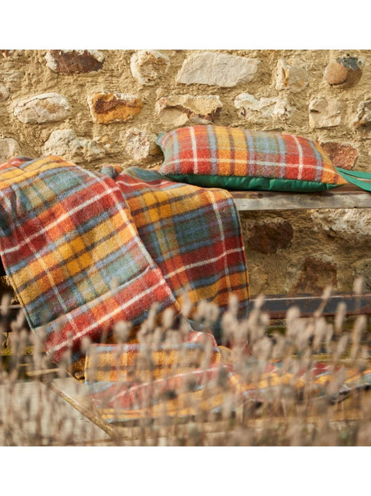 Picnic Blanket