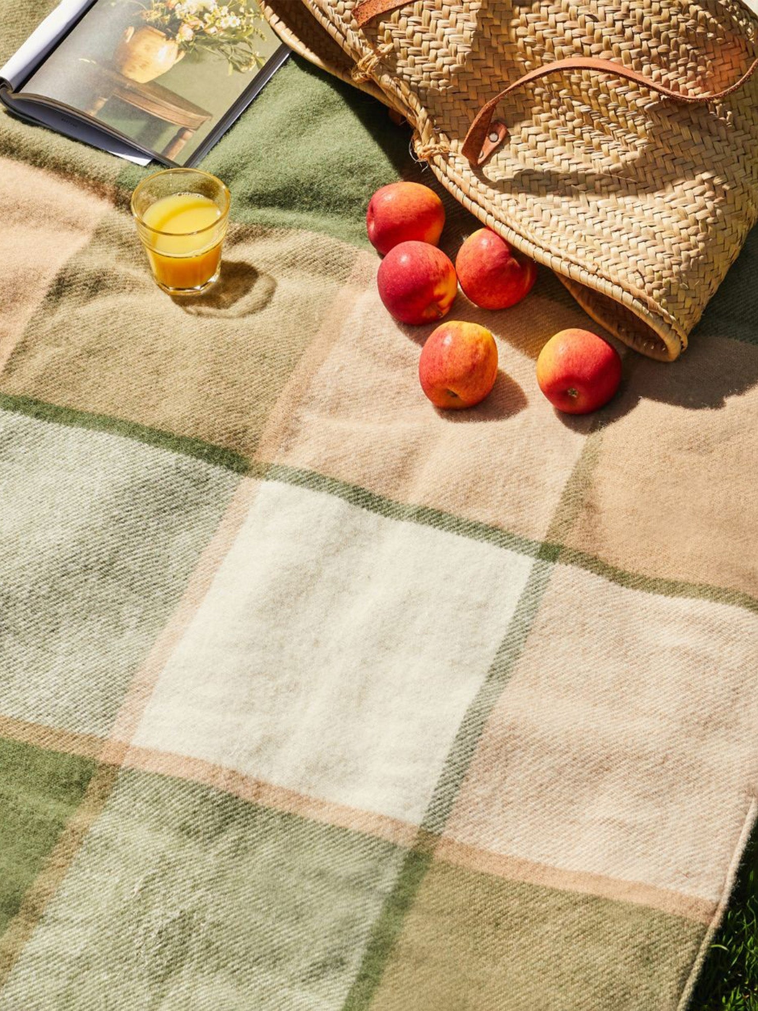 Polo Picnic Blanket – Gorsuch