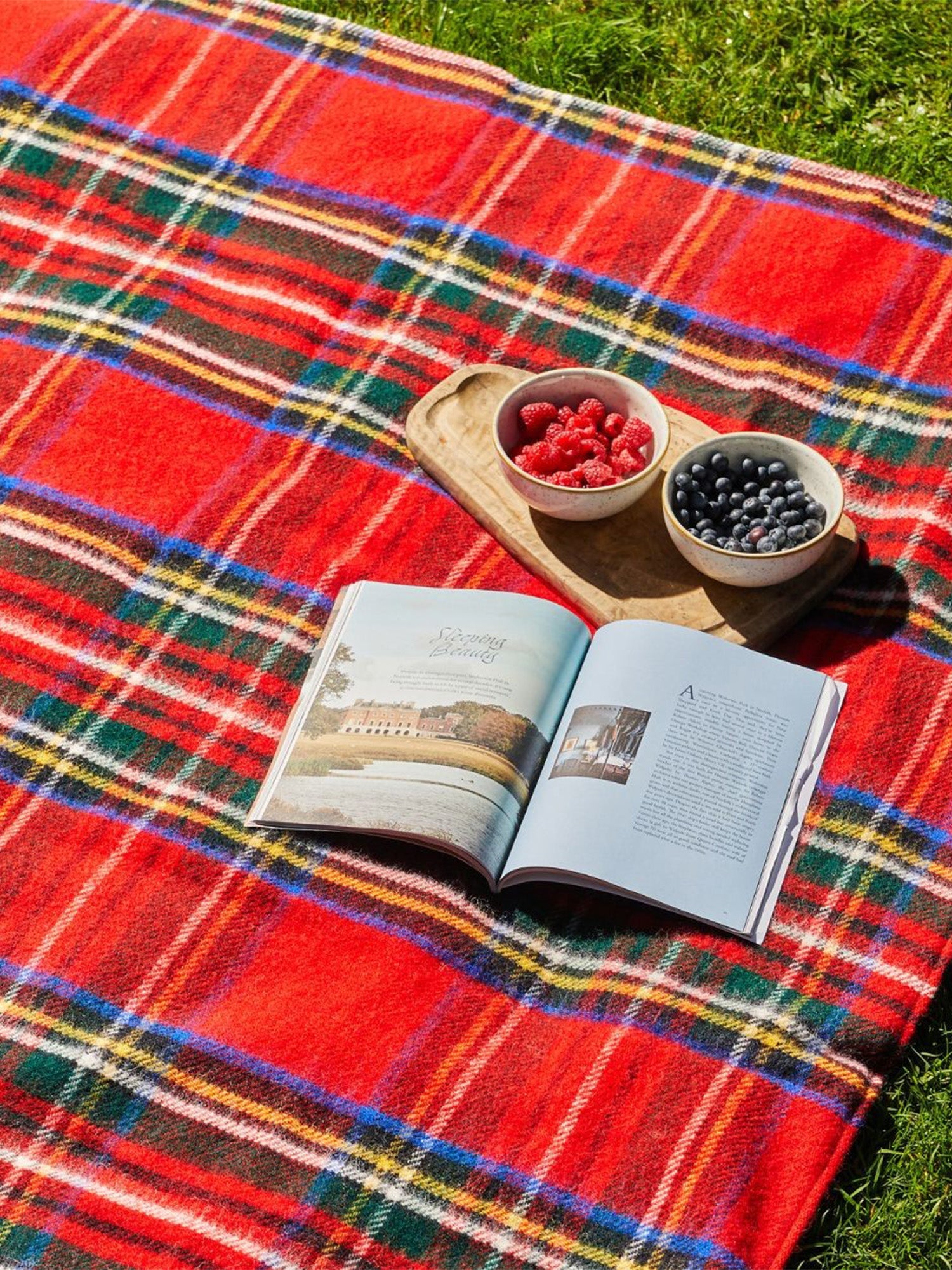 Picnic Blanket – Gorsuch