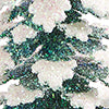 GREEN/WHITE