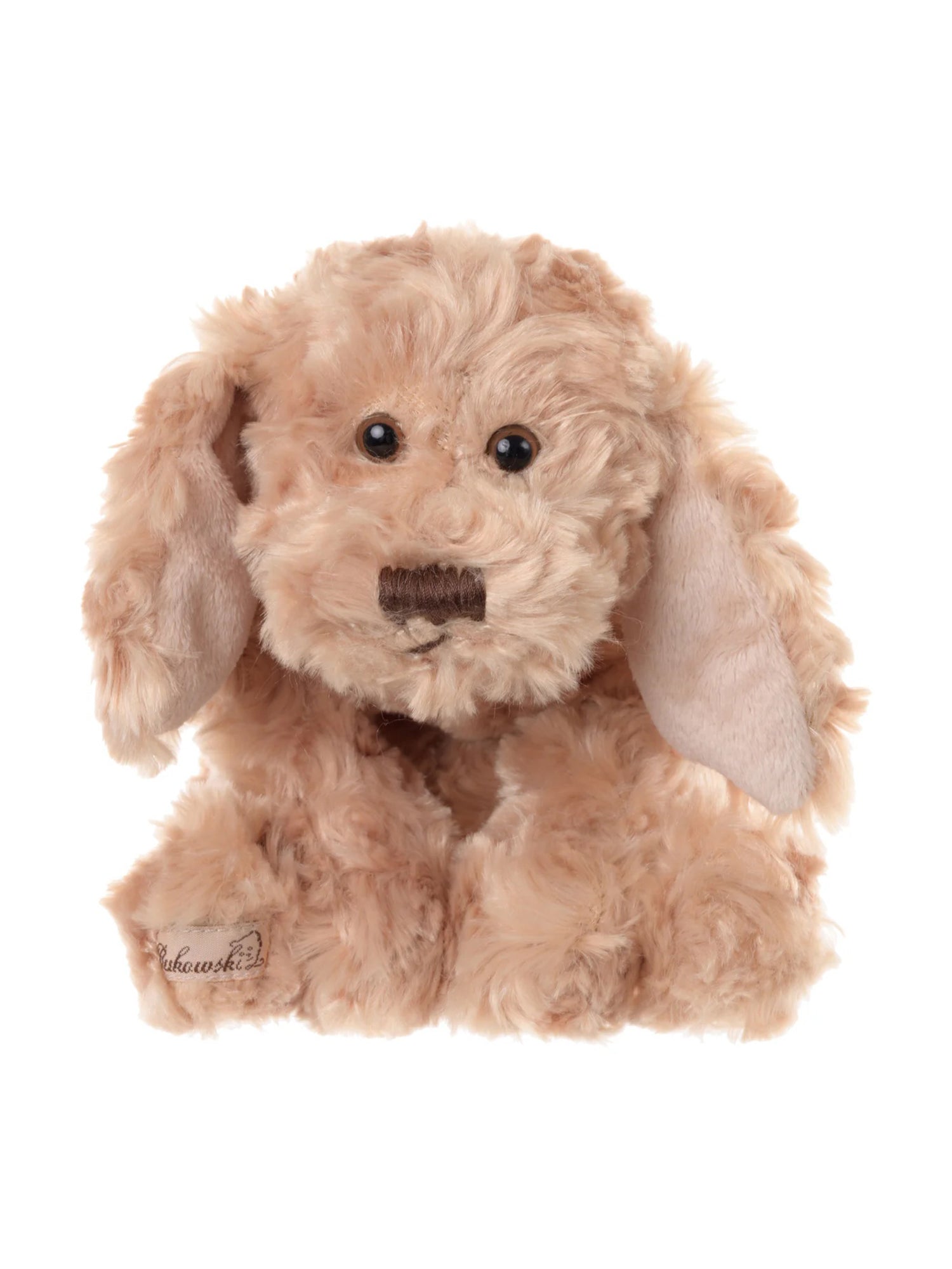 Buddy Puppy – Gorsuch