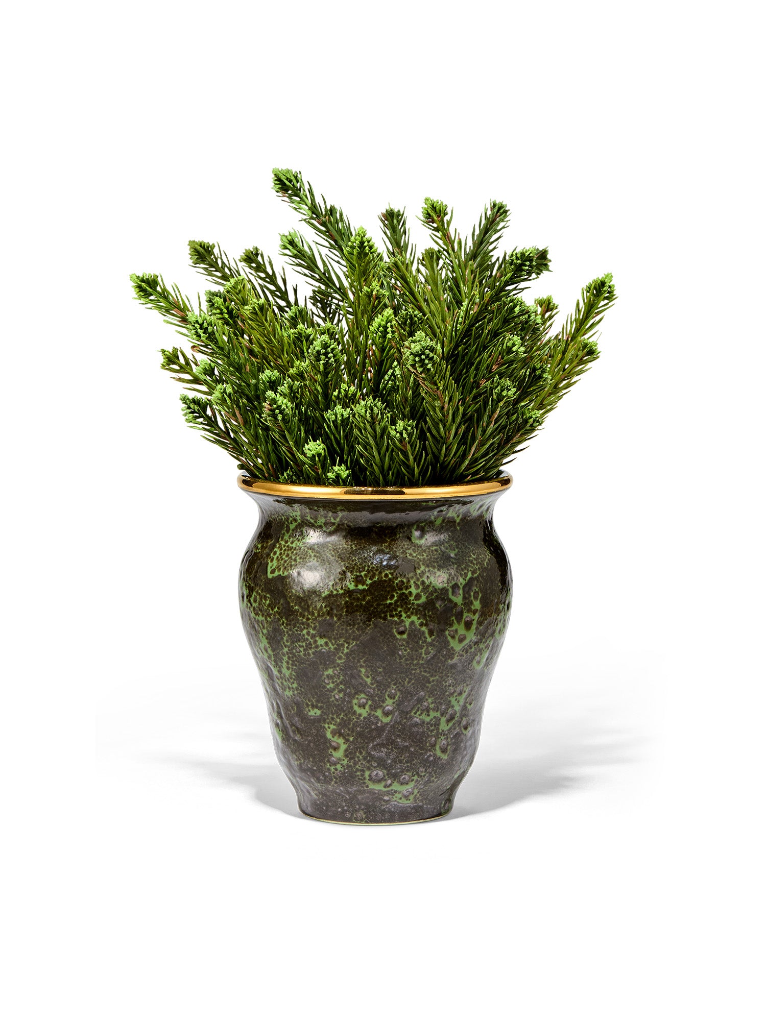 CYPRESS