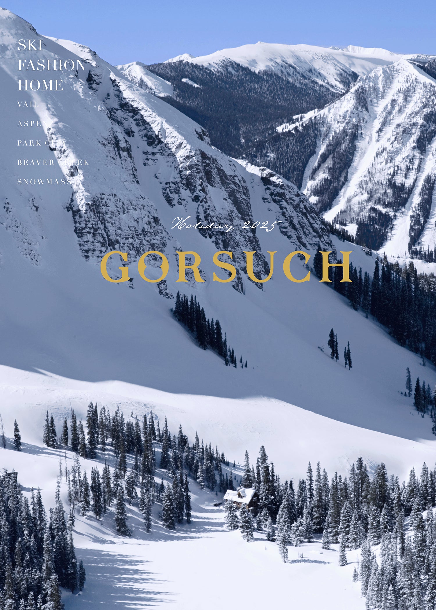 Winter mountain landscape with snow-covered trees and mountains, featuring the brand 'Gorsuch'.