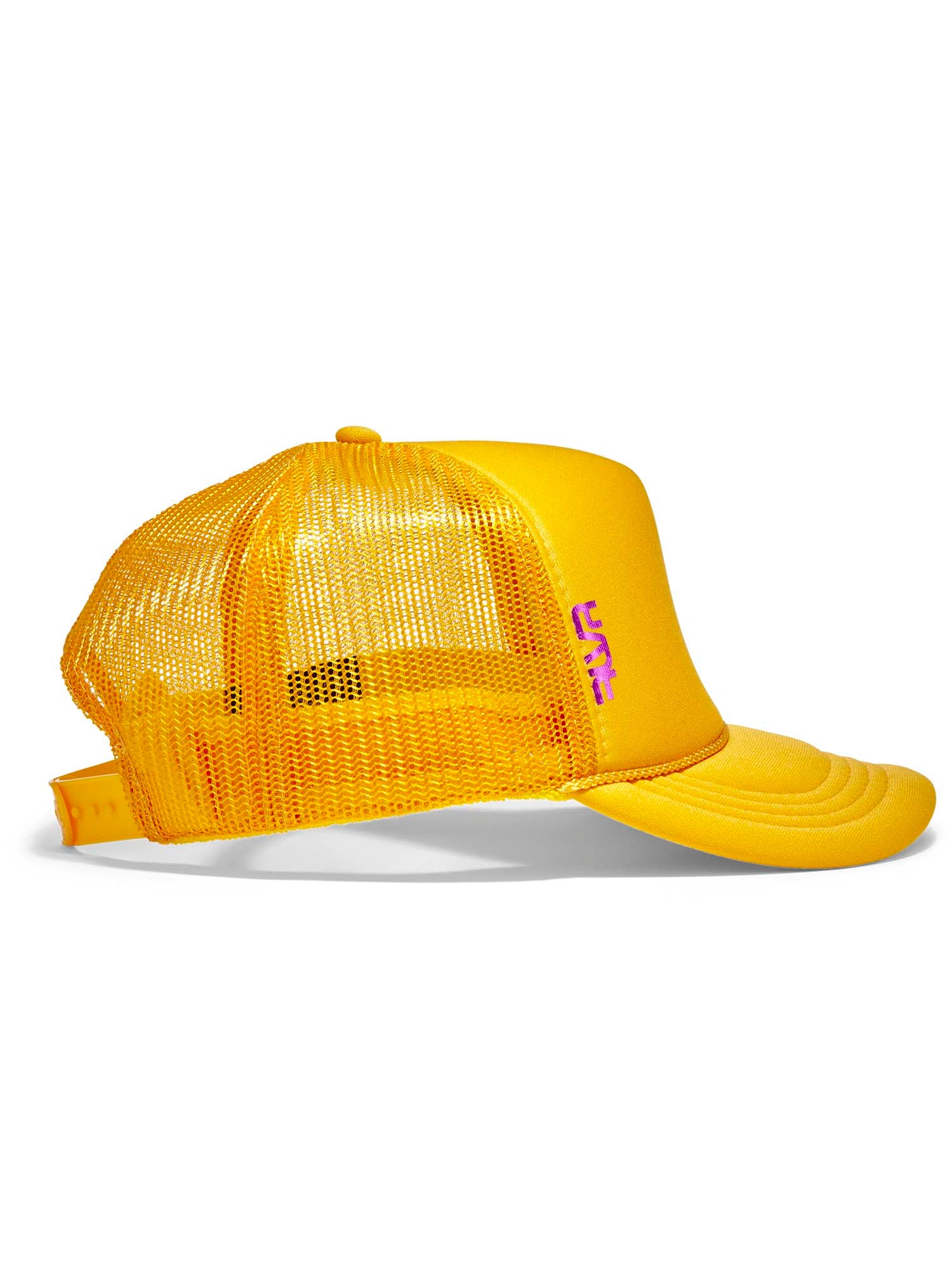 GOLD/PURPLE