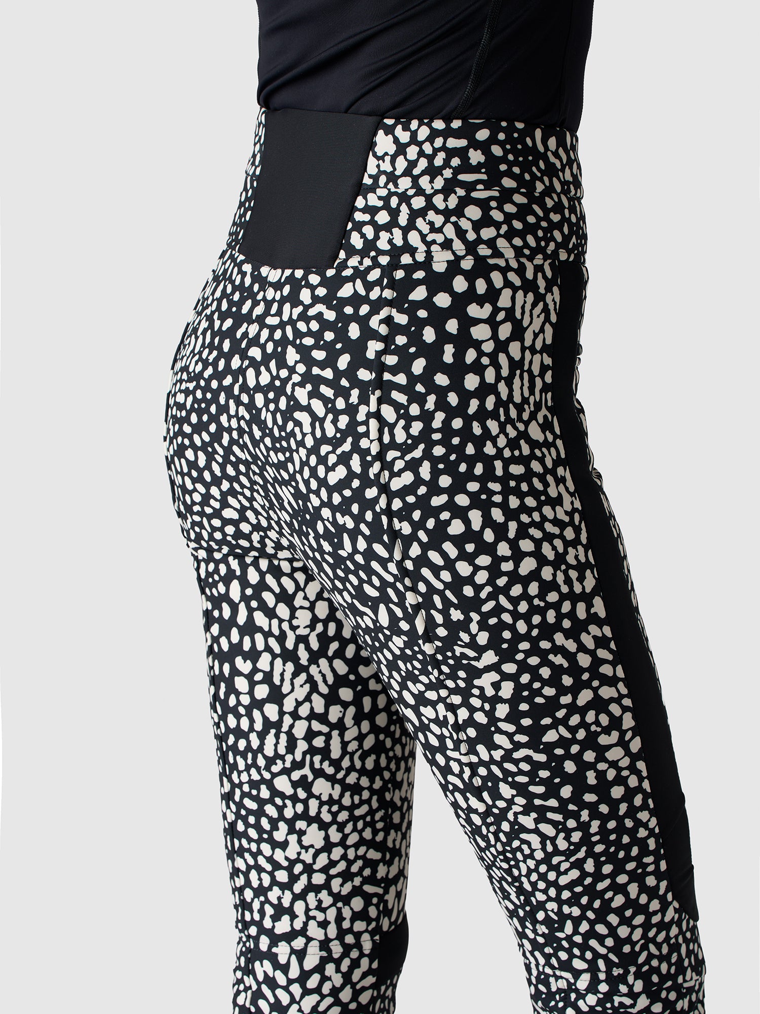 SNOW LEOPARD