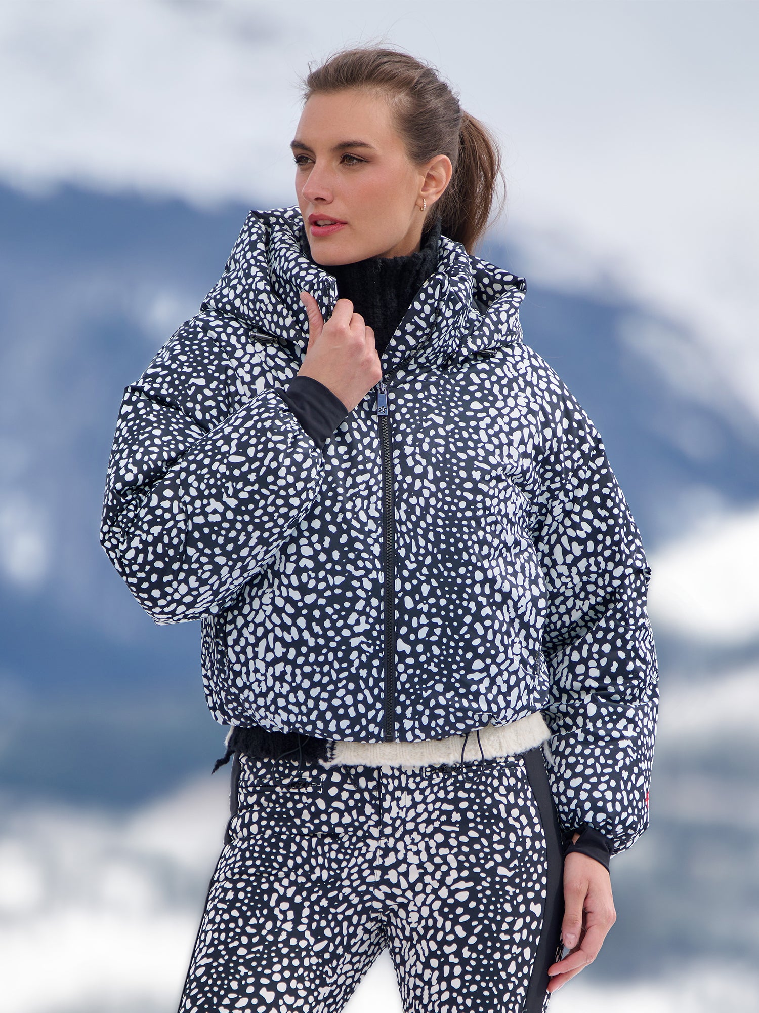 SNOW LEOPARD
