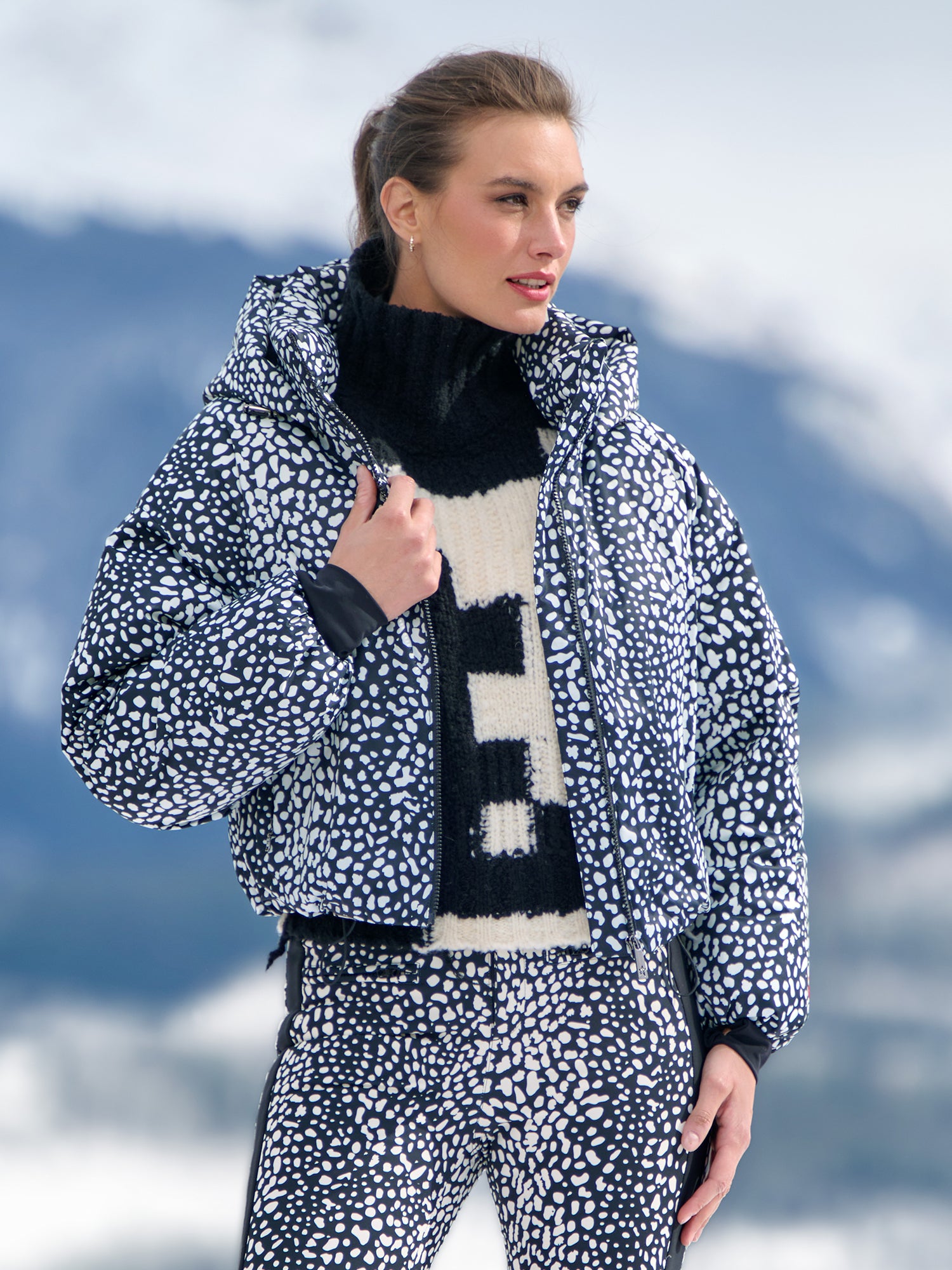 SNOW LEOPARD