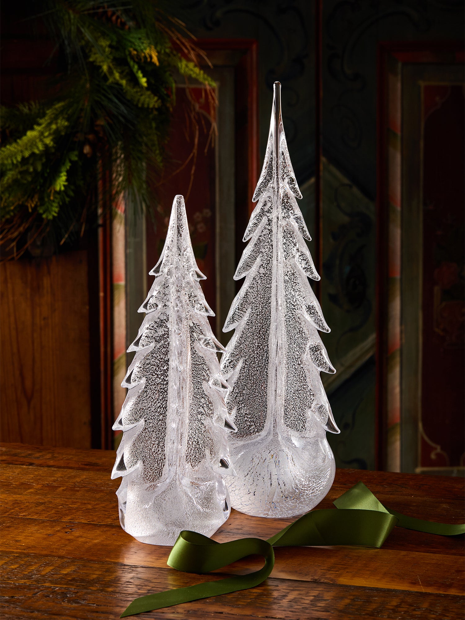 Silver Leaf Evergreen 18