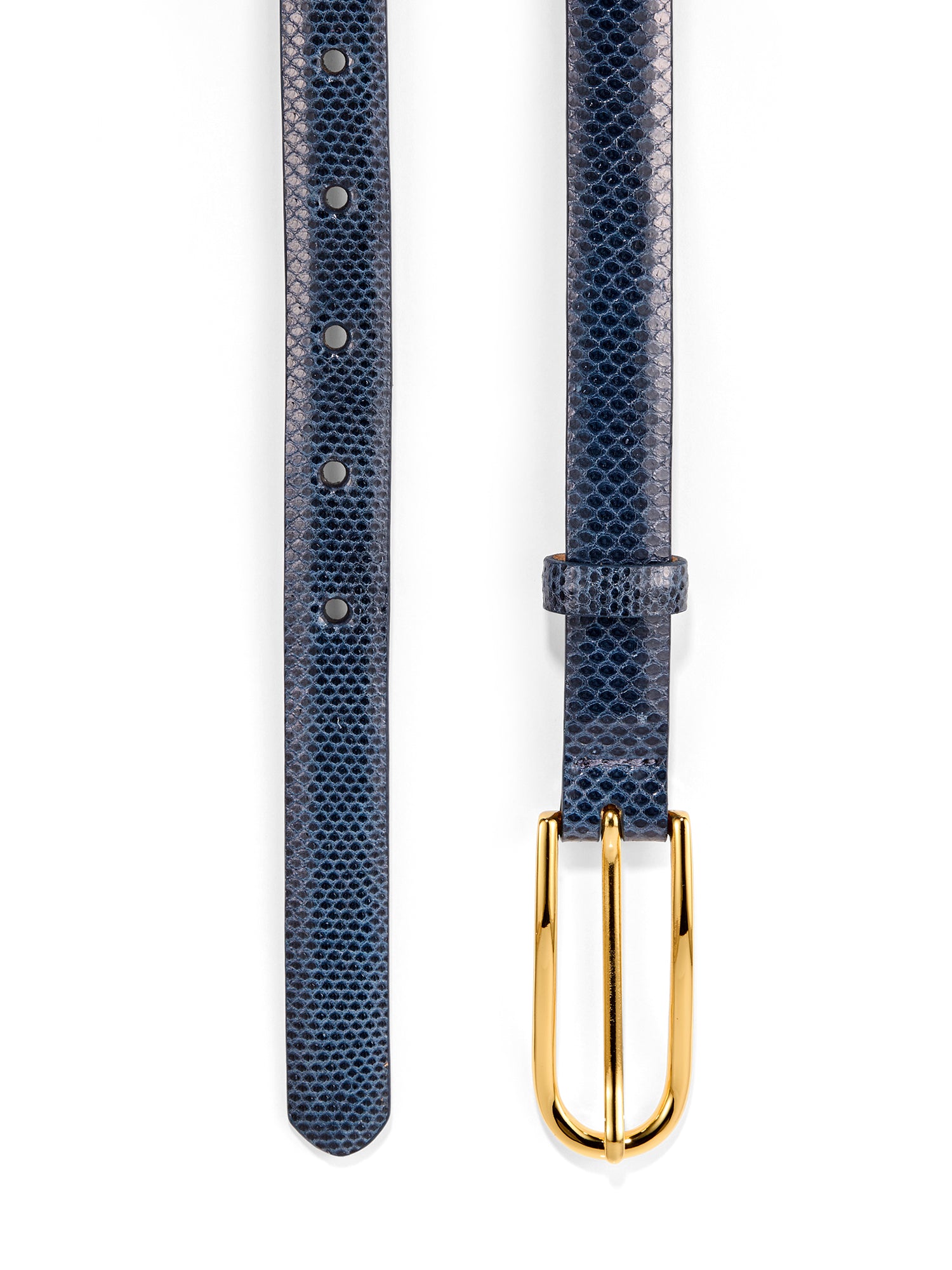 NAVY/GOLD