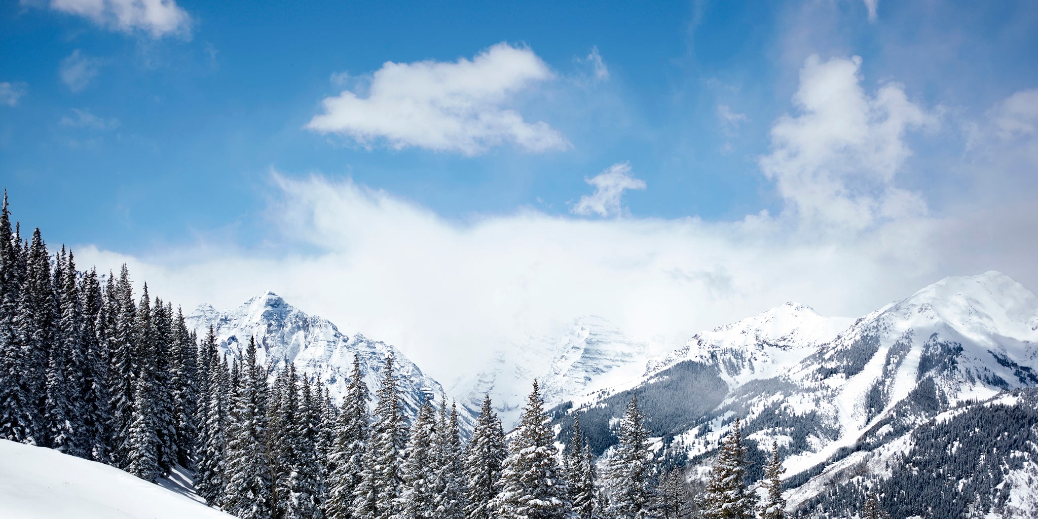 Snowy mountain landscape with evergreen trees under a blue sky.