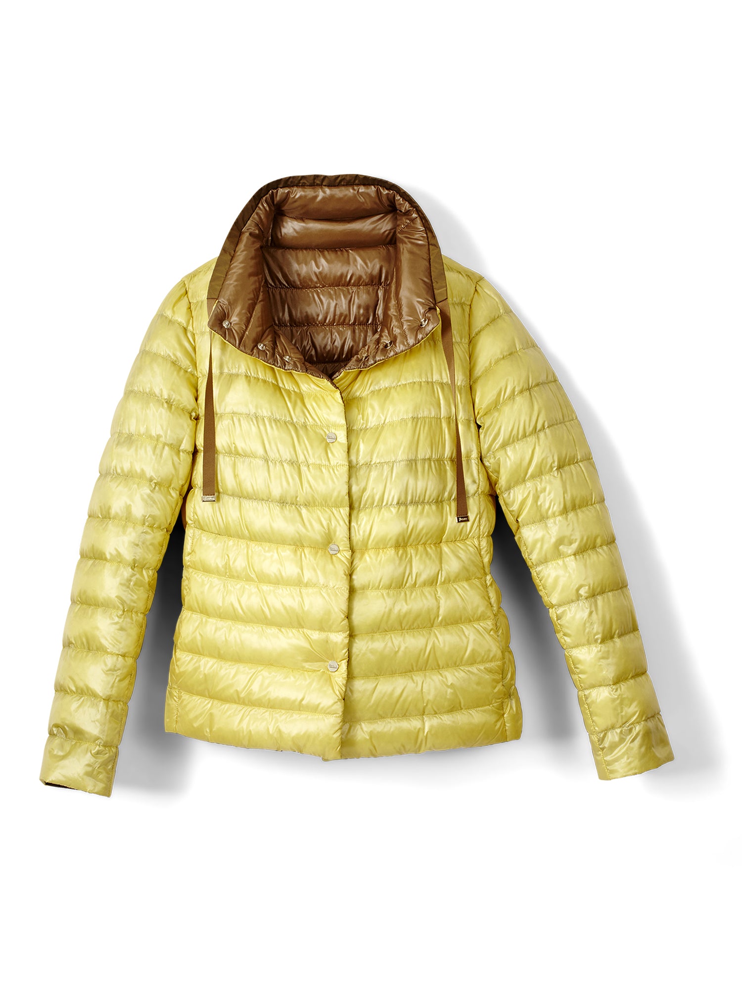 CAMEL/YELLOW