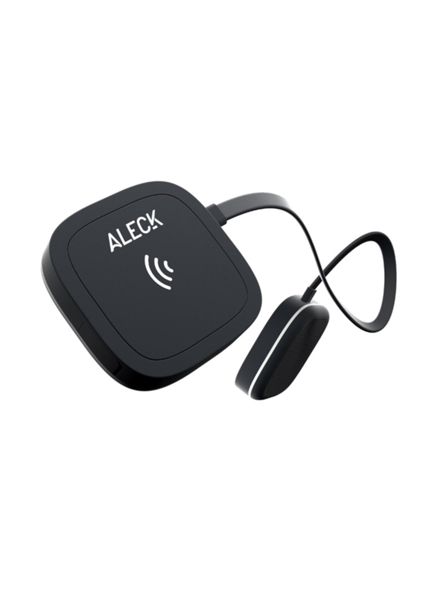 ALT1