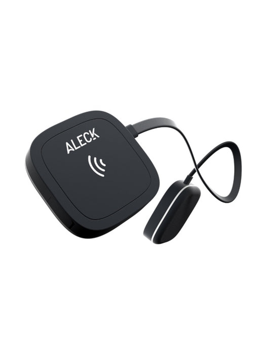 ALT1