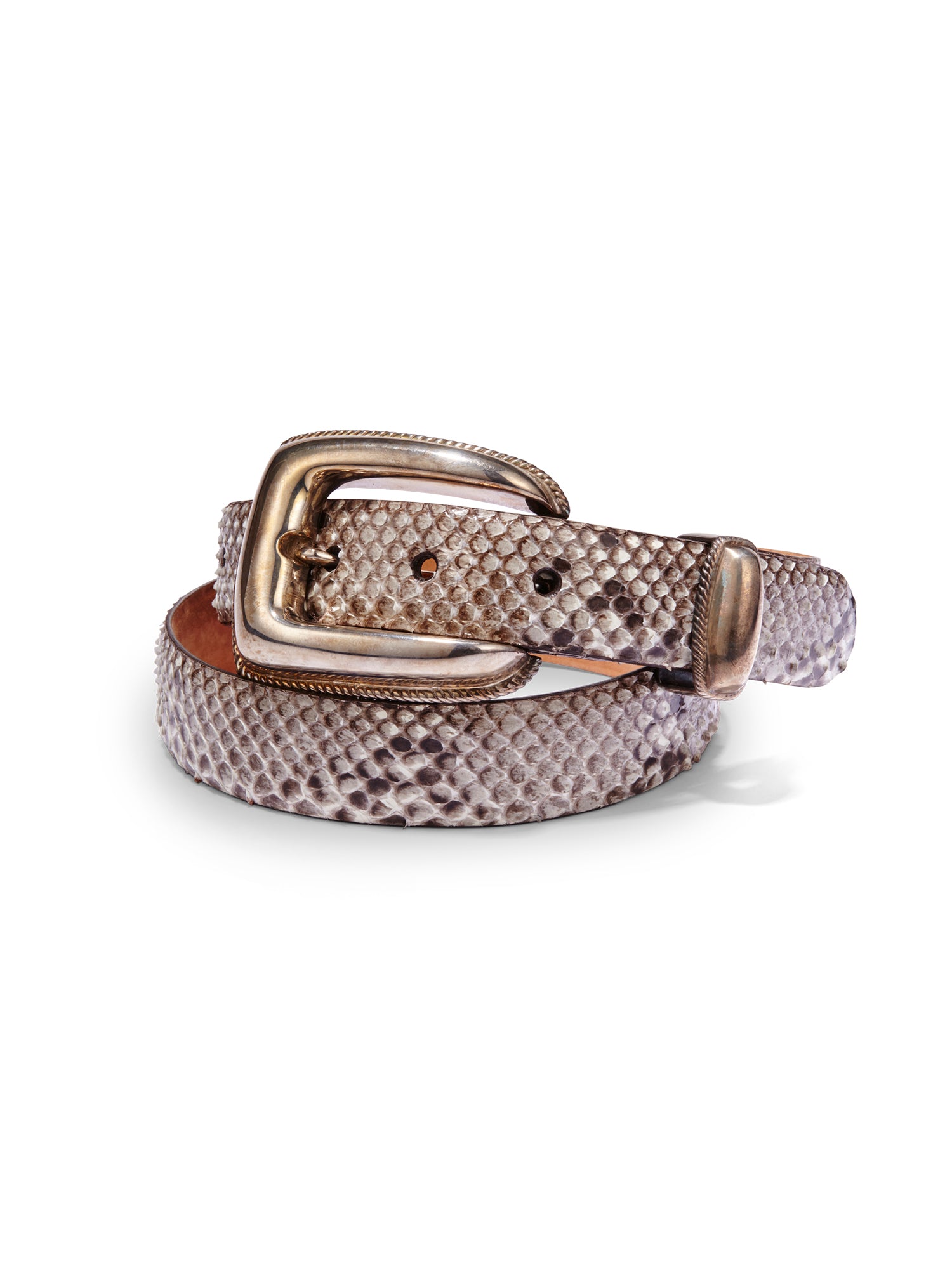 希少品 HTC Stingray × Python studs belt HTC Belt #53 Snake