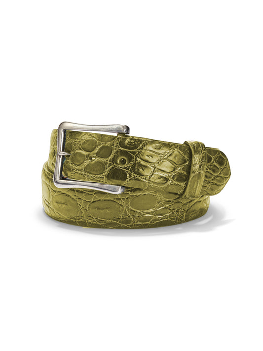 Final Sale Plus Size Snake Print Belt with Gold Buckle in Green