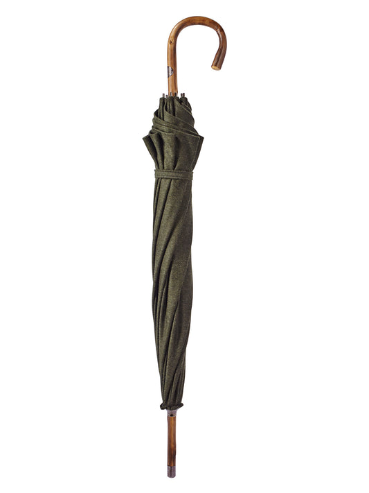 ALT1