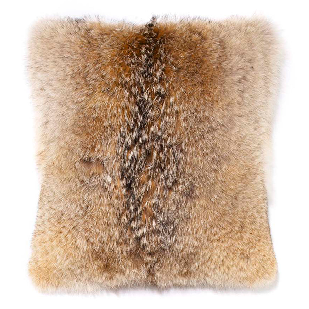 Coyote Pillow